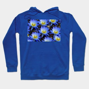 Flower Power Hoodie